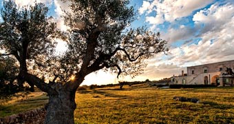 Masseria Le Fabriche Maruggio Hotel
