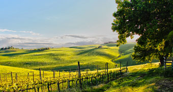 Fattoria Forano Appignano Hotel