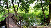 Mogliano Veneto Hotel
