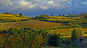 Montalcino Hotel