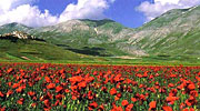Monti Sibillini Hotel