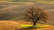 Crete Senesi Hotel