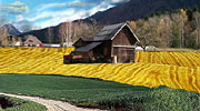 Carnia Hotel