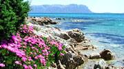 Porto Rotondo Hotel