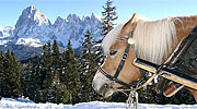 Val Gardena Hotel