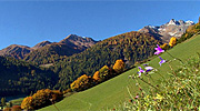 Selva dei Molini Hotel