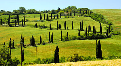 Val D'Orcia Hotel