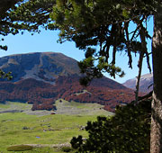 From Pollino to the sea