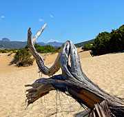 Sardinian sand castles