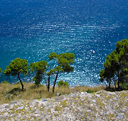 Il Cilento, la Costa dei Miti