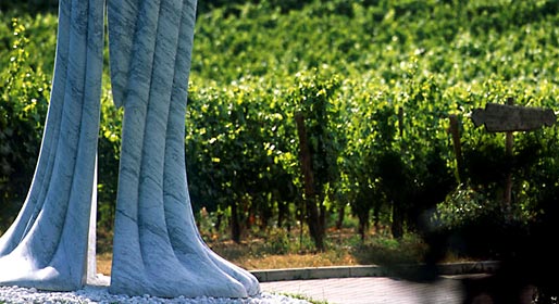 Art between the vines
