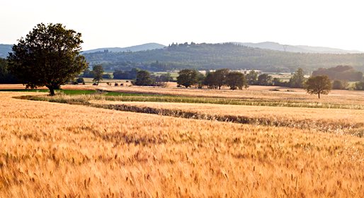 Cool Meals from Tuscany