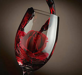 WINE TASTE Hotel