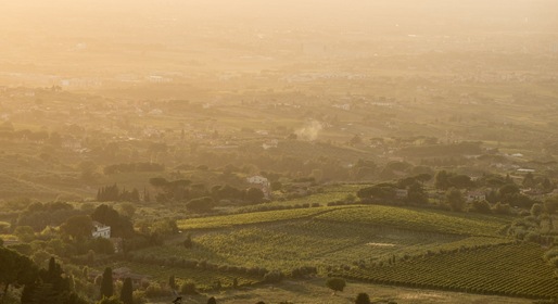 Frascati, Rome's Wine Country